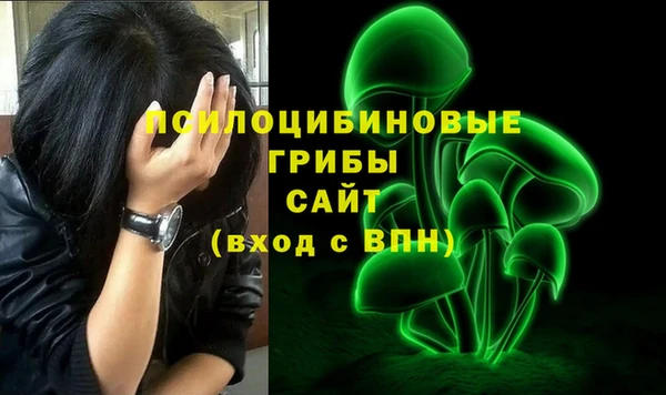 СК Надым