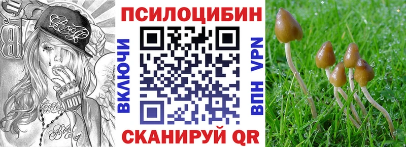 Галлюциногенные грибы GOLDEN TEACHER Нижний Ломов