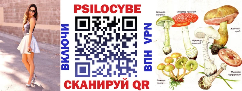 Псилоцибиновые грибы Psilocybe  Нижний Ломов 